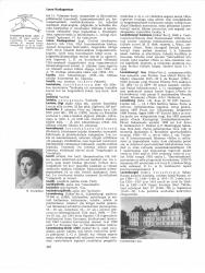 luure - Eesti Entsüklopeedia