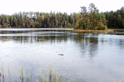 Kõrvemaa - Eesti Entsüklopeedia